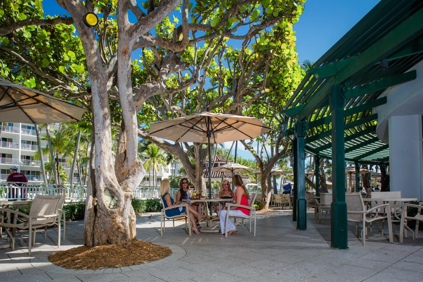 Acquario