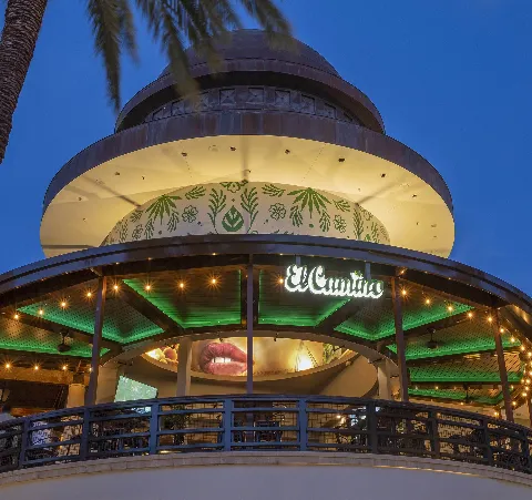 El Camino West Palm Beach dome-shaped rooftop entrance at dusk, illuminated neon sign, string lights, and palm tree in foreground