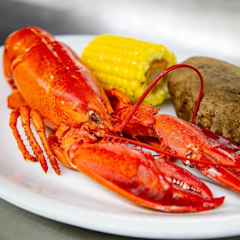 Boiled lobster, potato, and corn.