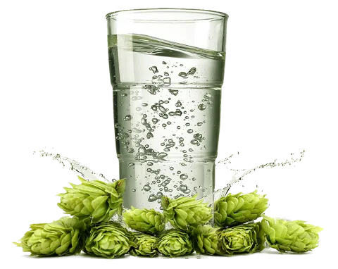Hop State Brewing, unknown