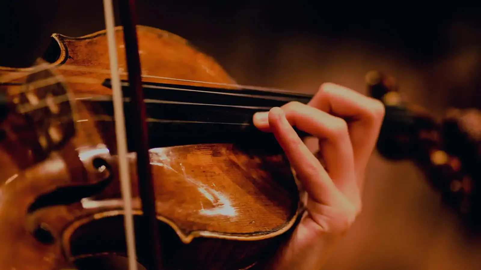 Closeup of violin