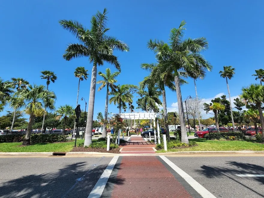 Downtown Venice palms across from T.J. Carney's