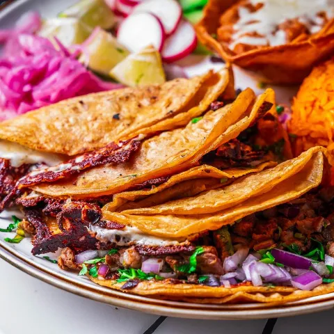 Plaza Tapatia Mexican Restaurant Bar and Grill, food
