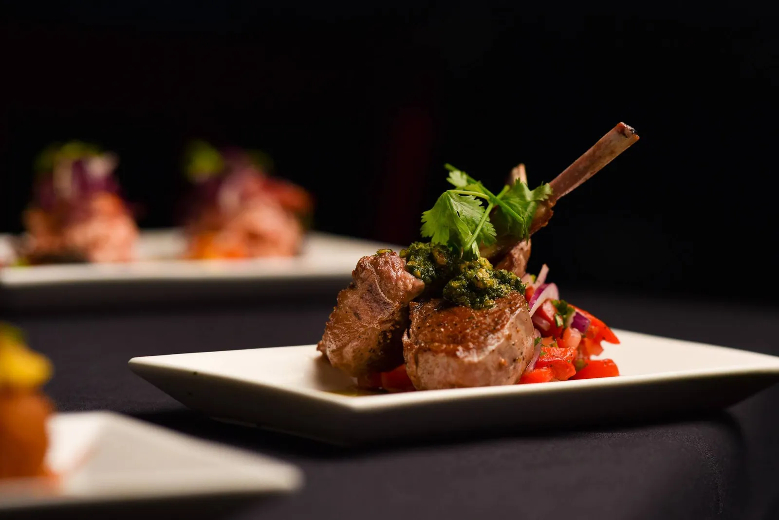 Sleva Grill Lamb Dish