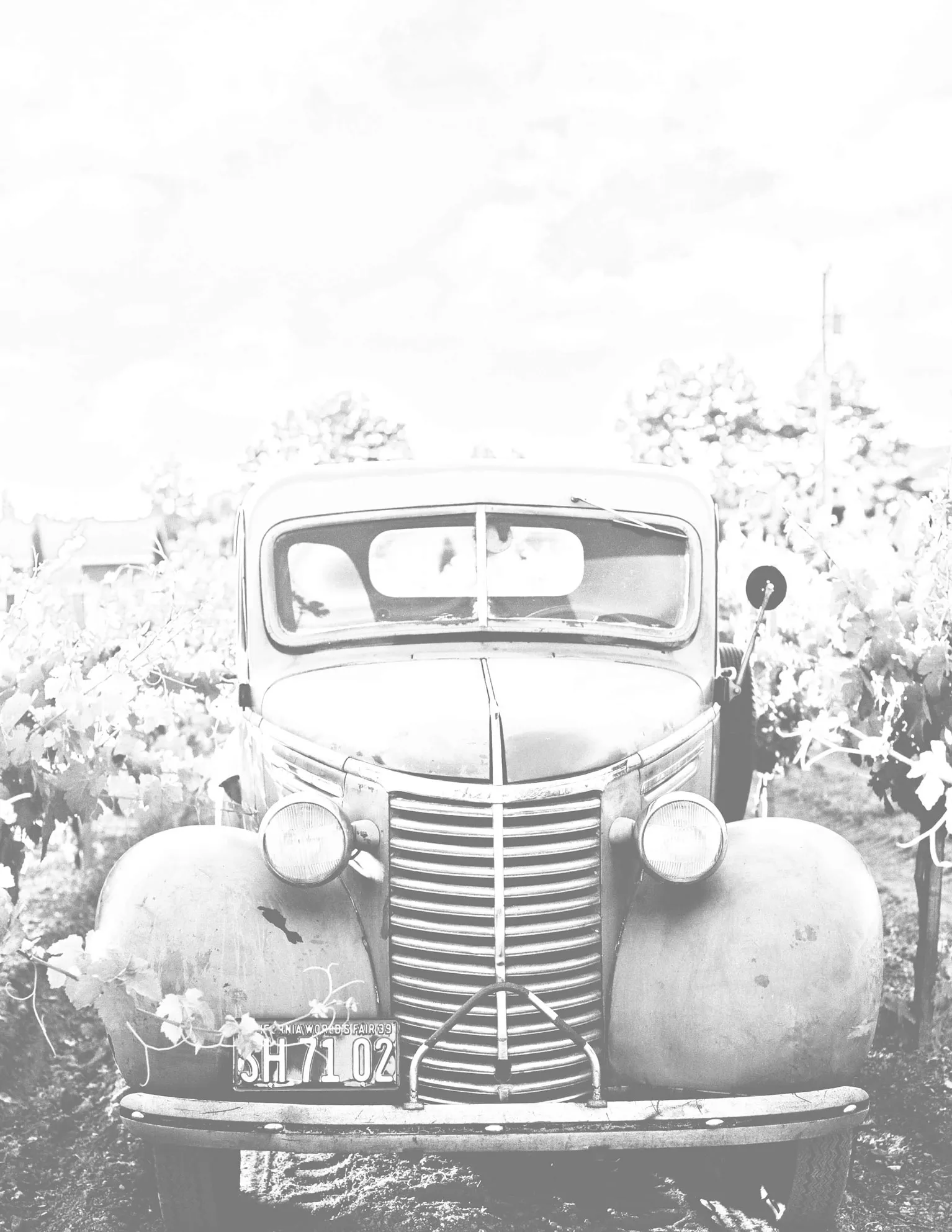 premium background farm truck