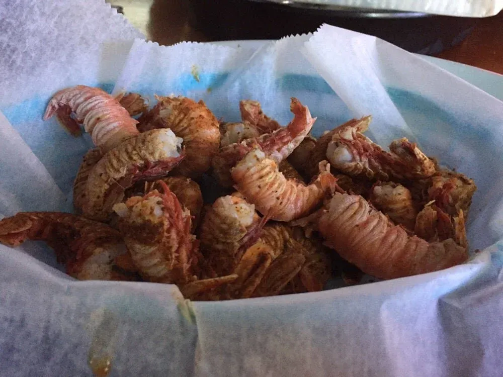 rock shrimpies.jpeg