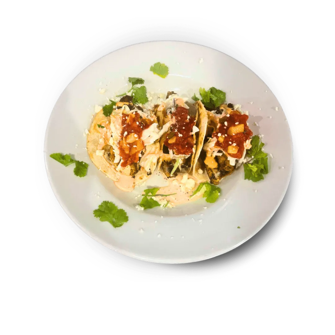 Taco Tequila Co