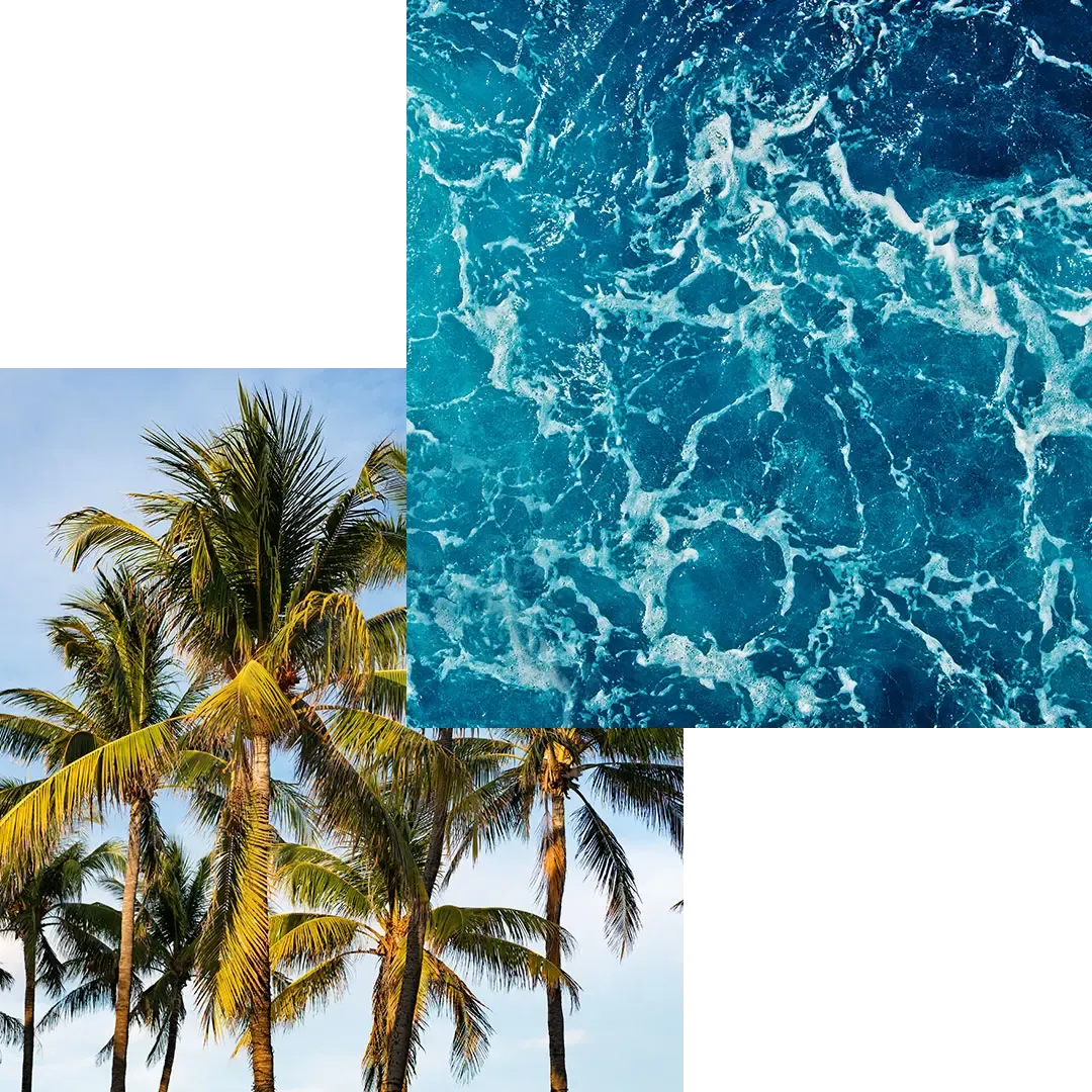 Palm trees and turquoise ocean water collage — Fort Lauderdale waterfront