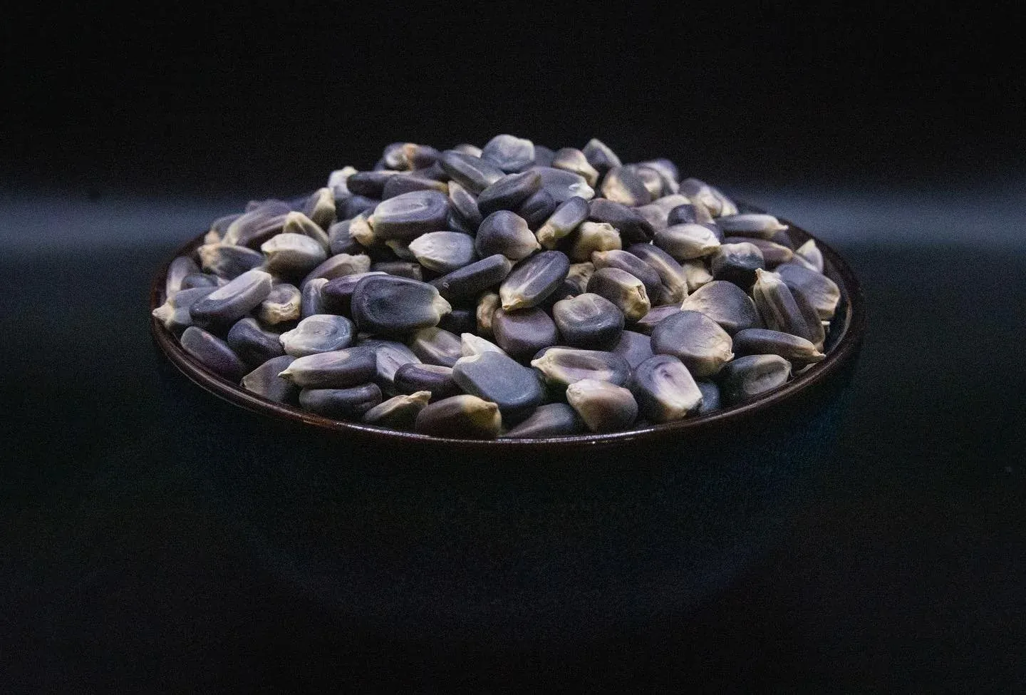 From corn, to masa, to tortilla 💙 our indigo blue kernels definitely stand out against the other colors! 
.
.
#masa #nixtamal #nixtamalization #florida #clearwater #dunedin #tampa #tampabay #mexicanf