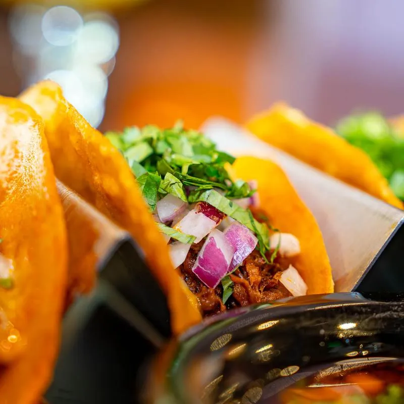 Casa Monarca Mexican Restaurant and Tequila Bar
