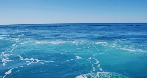 Reef, unknown
