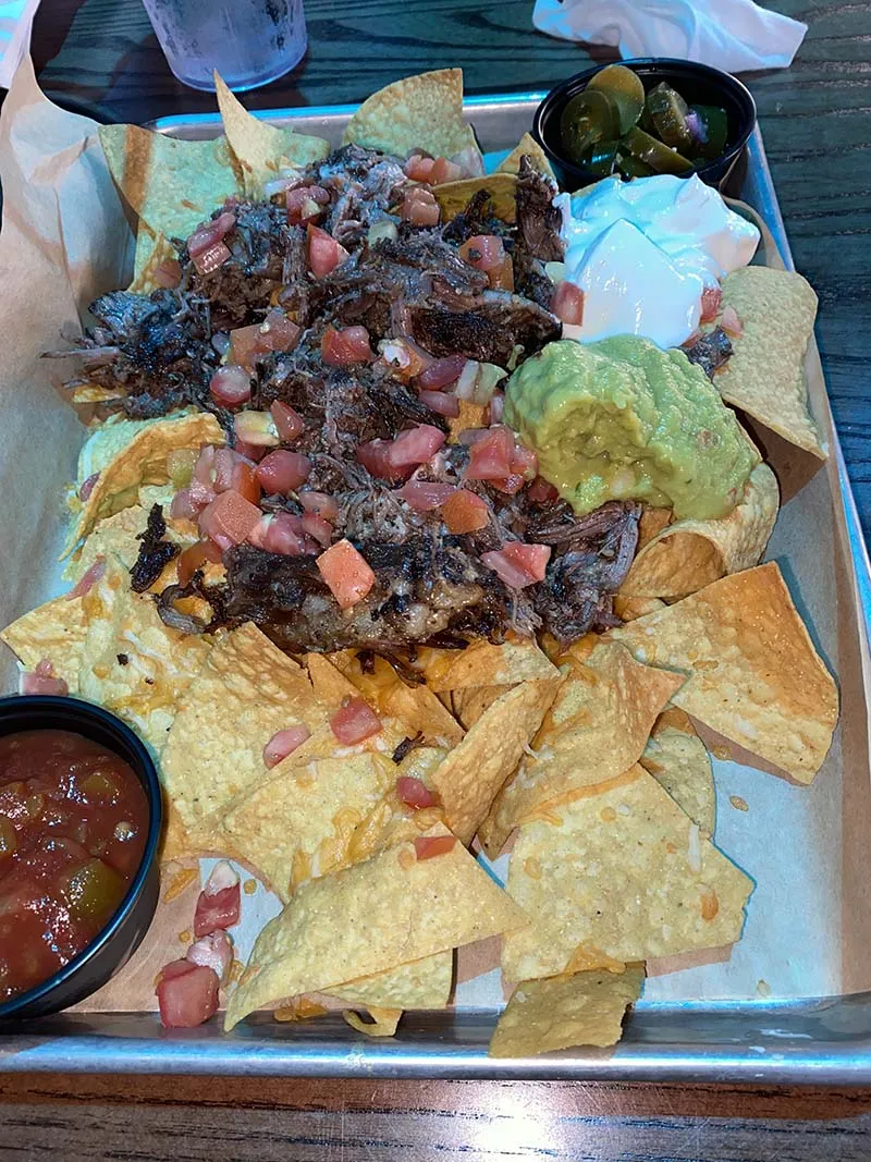 fried tortilla chips with sauce