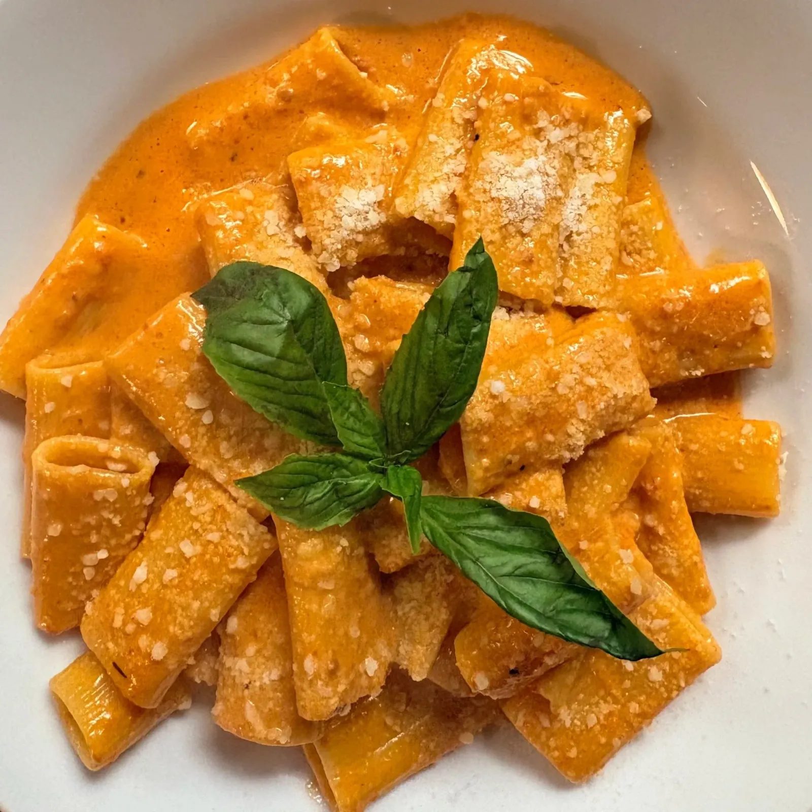 Close-up of uncooked lasagna noodles topped with tomato sauce, grated cheese, and fresh basil leaves.
