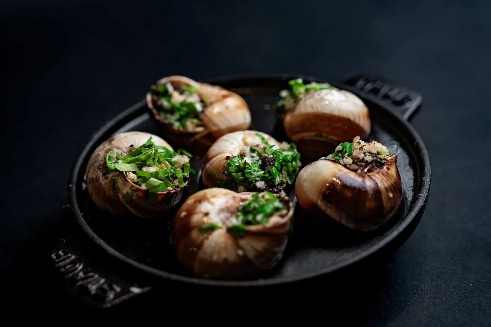 Escargot_2.jpg