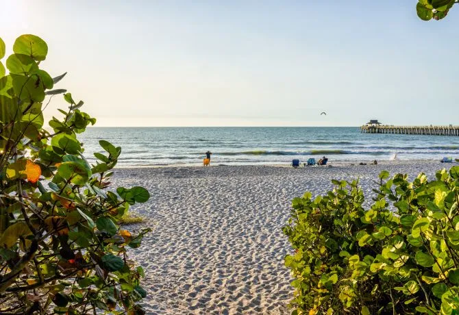 A Beach With People On It