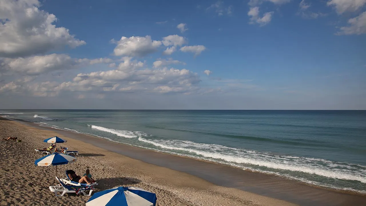 beach at shuckers