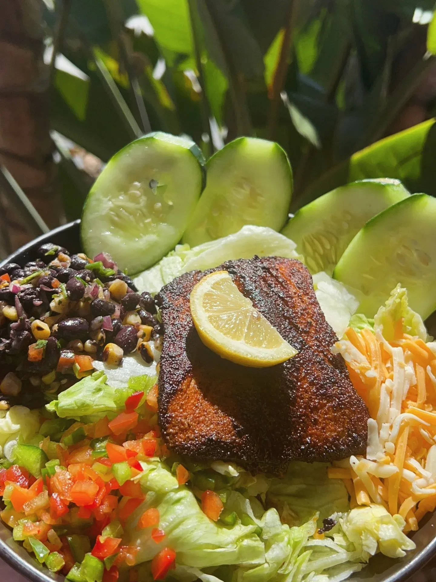 ✨ Ladies Day Thursdays at Clancy&rsquo;s Cantina ✨
Discounted food &amp; drinks in the bar area all day.

Featured today:
Blackened Mahi Salad
with black bean corn salsa, and fresh greens.
Add mango s