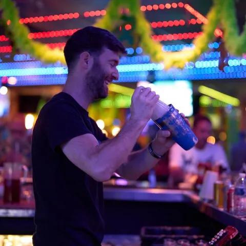 Bartender shaking a cocktail behind the bar.