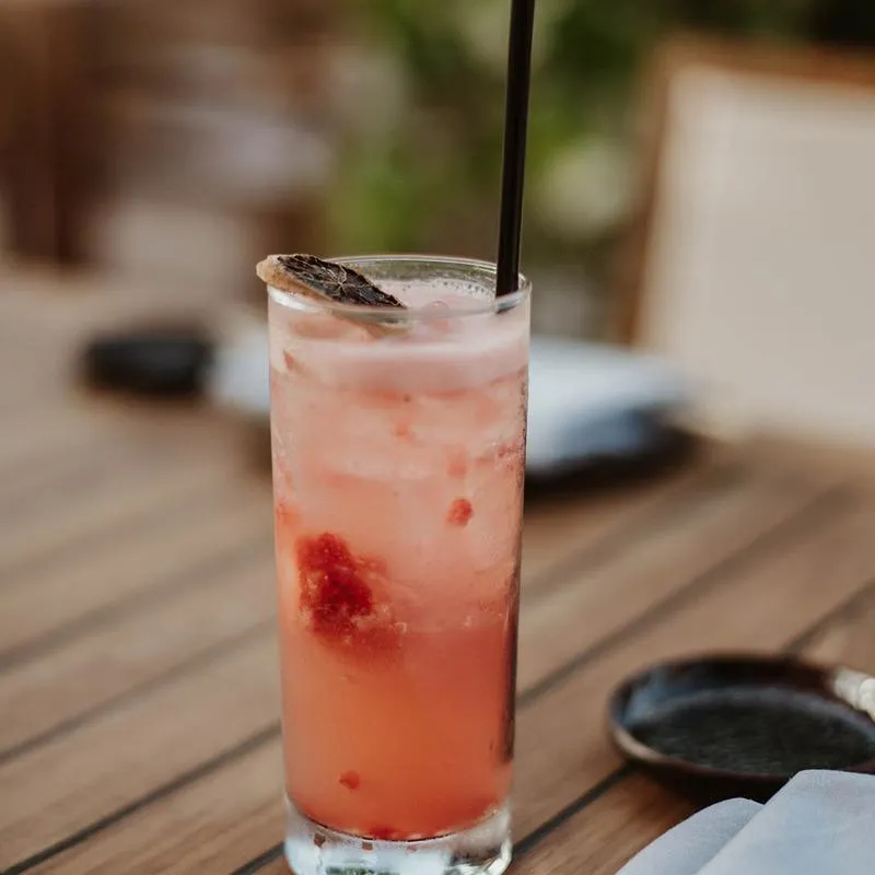 A pink cocktail served in a tall glass, and garnished with a dry citrus wheel.