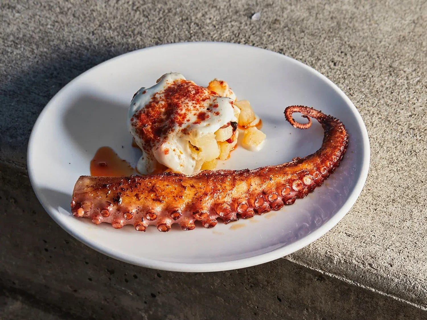 Grilled octopus tentacle served with a scoop of potato salad topped with paprika on a white dish