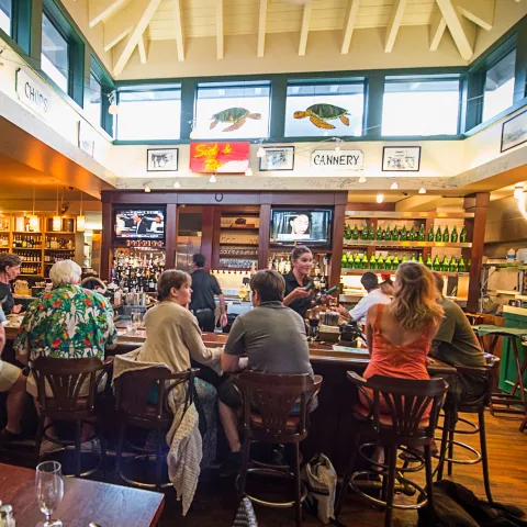 Green Turtle Inn, drink