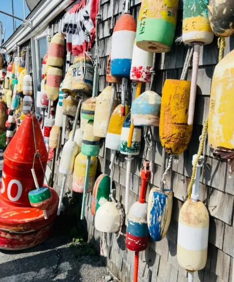 If this is your summer 2026 vibe, you belong at Cheeky’s Clam Bar 🦞⛵️⚓️🎣
#clambar #summer2026 #stpete #stpetefoodie