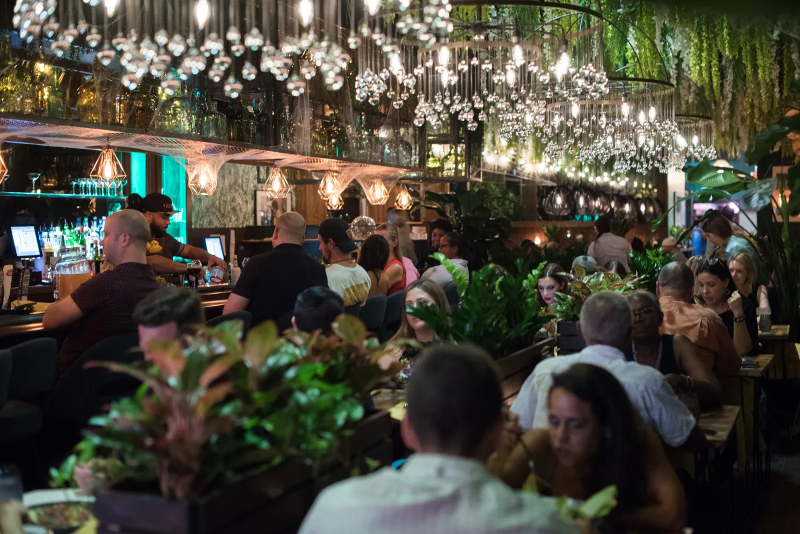 Sourbon Kitchen+Bar
