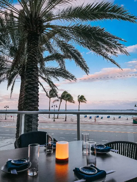 the photo shows the restaurant terrace with a view of the palm tree