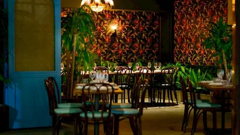 A cozy restaurant dining area with tropical wallpaper, string lights, palm plants, and mismatched chairs around dark wooden tables, inviting ambiance.