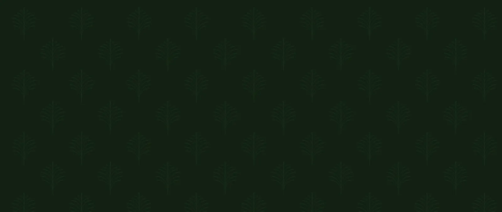 Footer Background