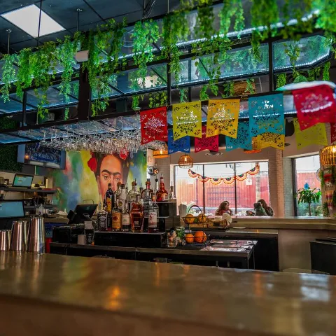 Restaurant bar with hanging plants and banners.