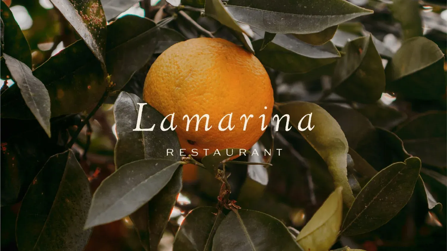 Lamarina