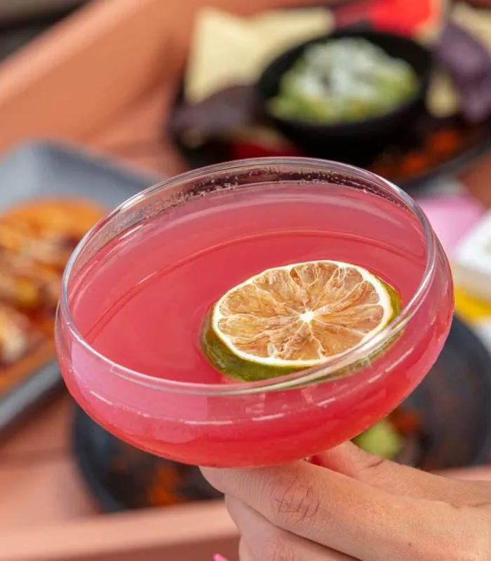 A Hand Holding A Glass Of Pink Liquid With A Slice Of Lemon