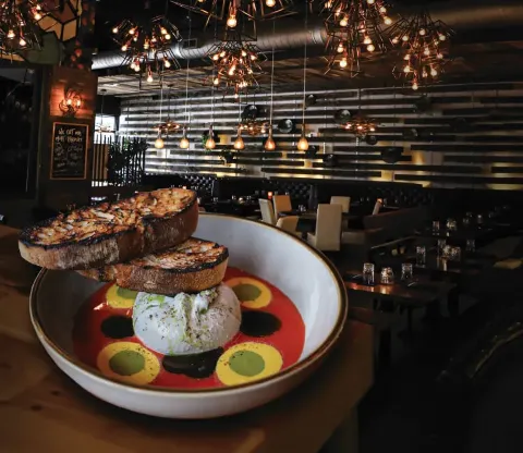 Cheese Appetizer at Mia Kitchen & Bar