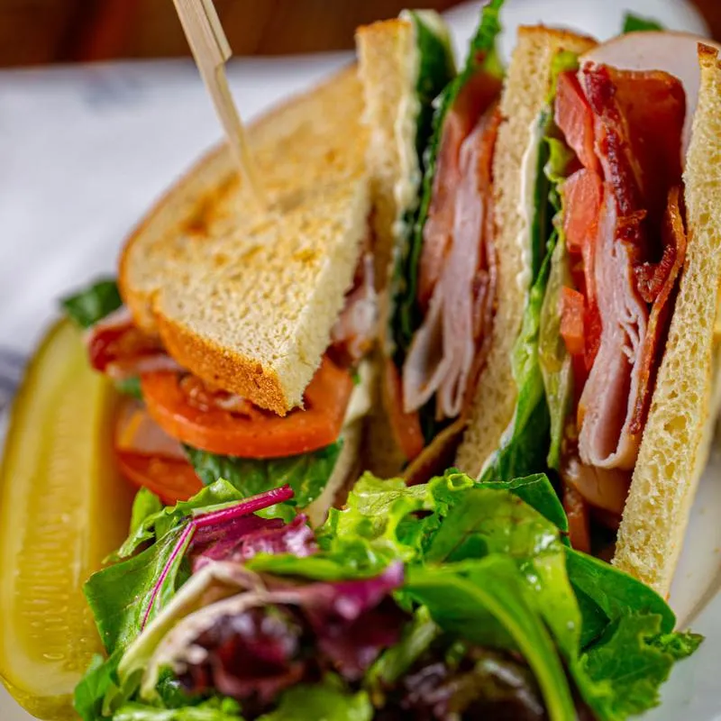 Mixed salad and sandwiches