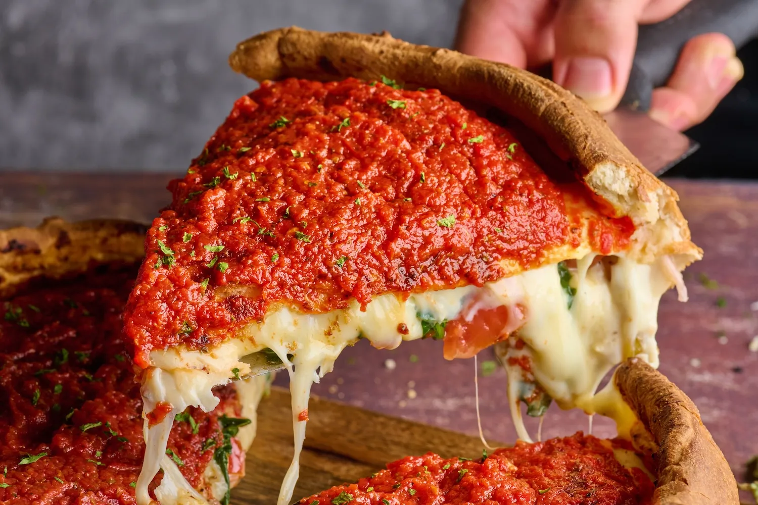Tampa Pizza Company