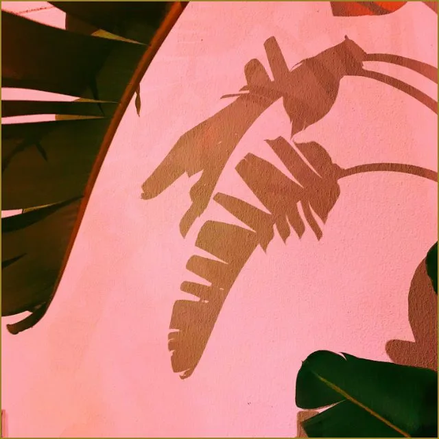palm leaves shadow
