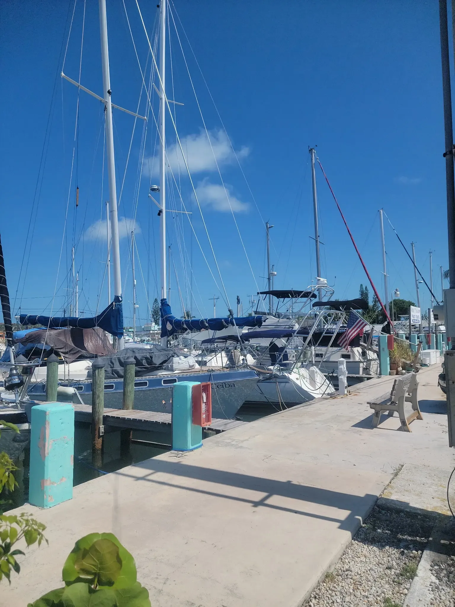 Burdines Waterfront
