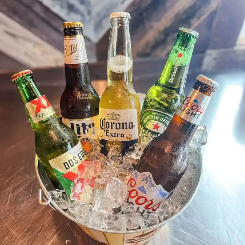Ice bucket filled different botteled beers.