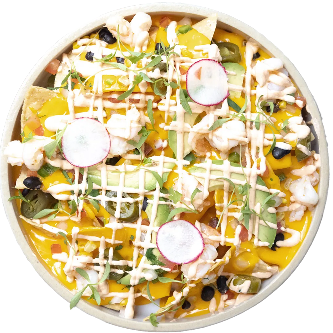Tacology