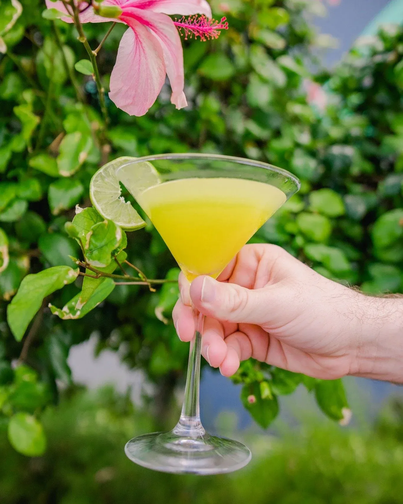 Nothing but the best in your glass &ndash; fresh, preservative-free mixers are a true Shark Pit bar experience! 🍸🌊 
.
.
.
#spacecoast #cocoabeach #cocoabeachdining #spacecoastfood #diningincocoabeac