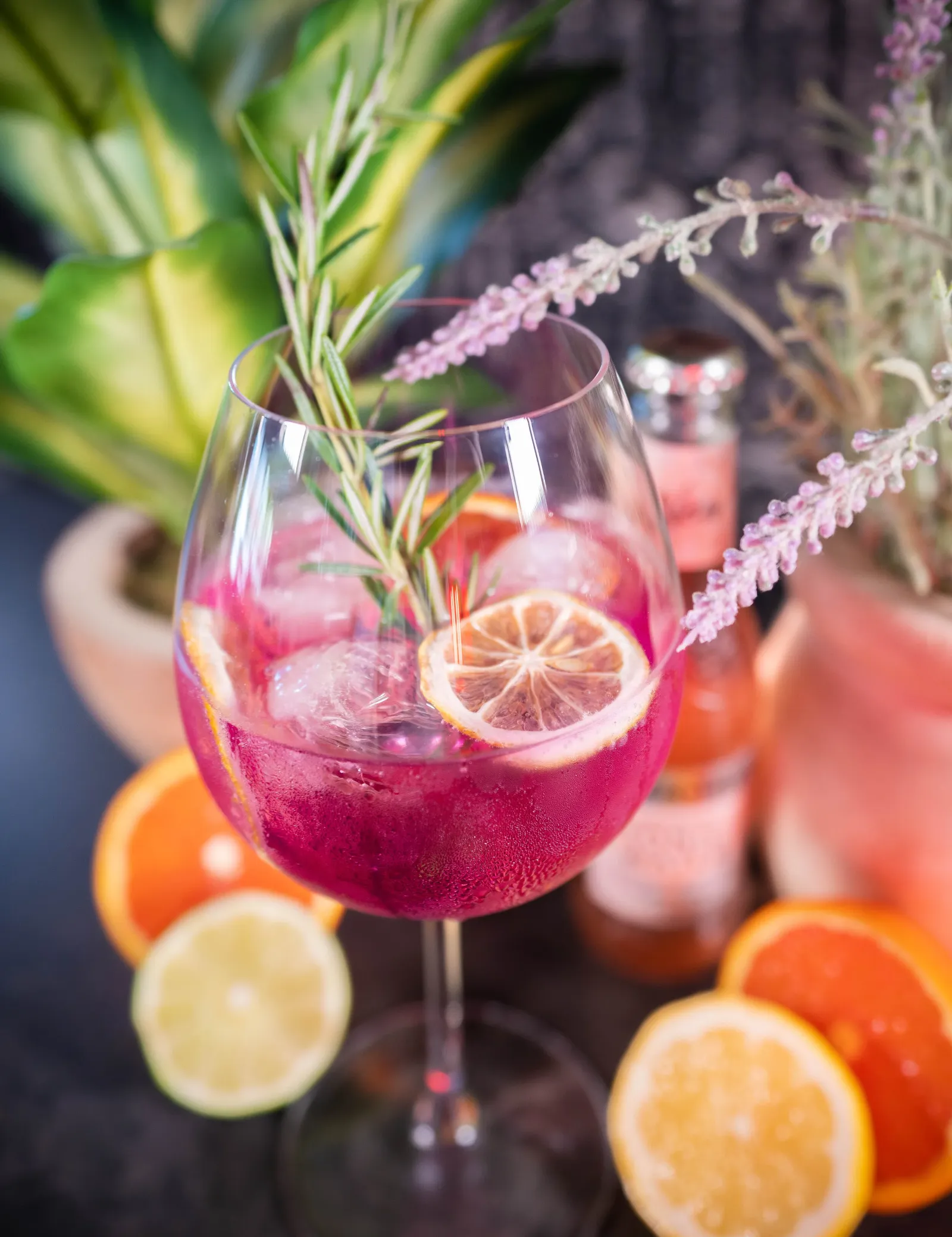 Pink cocktail with lemon slices, garnished with sprigs of rosemary and lavender, surrounded by sliced citrus fruits on a dark surface.