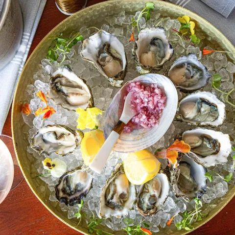 Oysters on  the half shell.