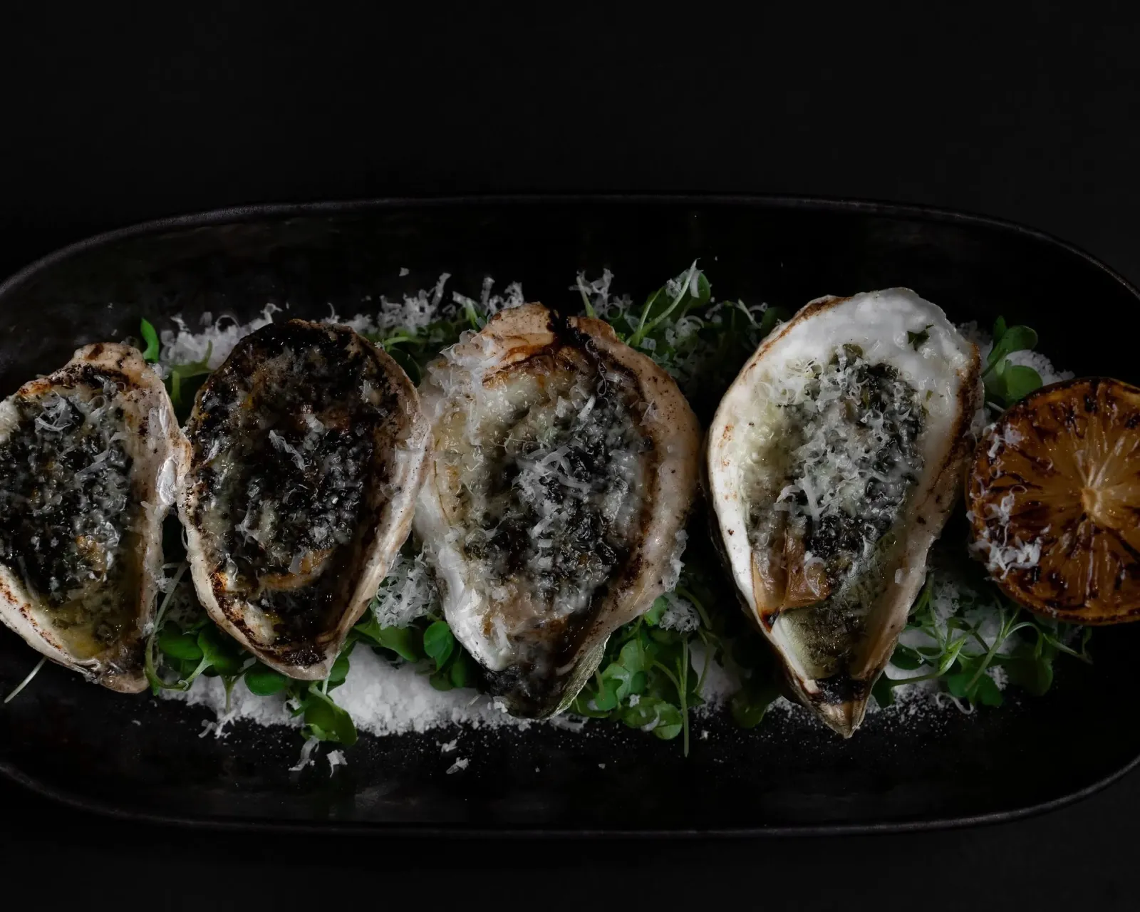 Oyster_1.jpg
