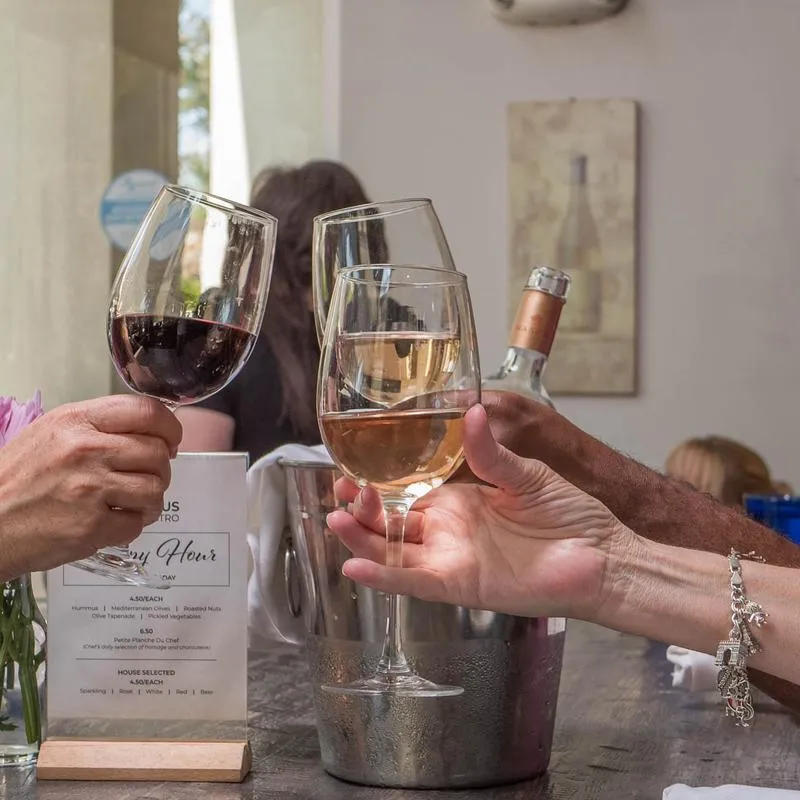 Guests toasting with wine