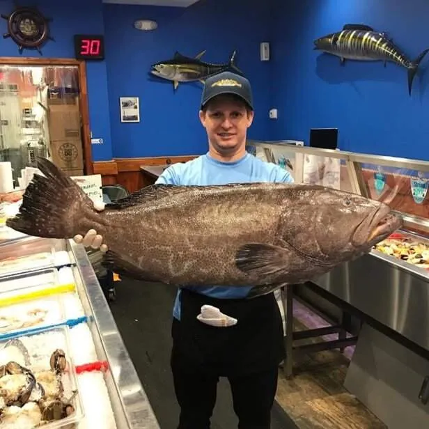 employee holding big fish