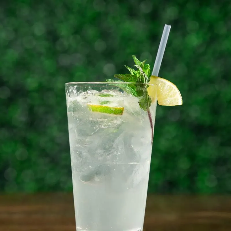 Mojito drink