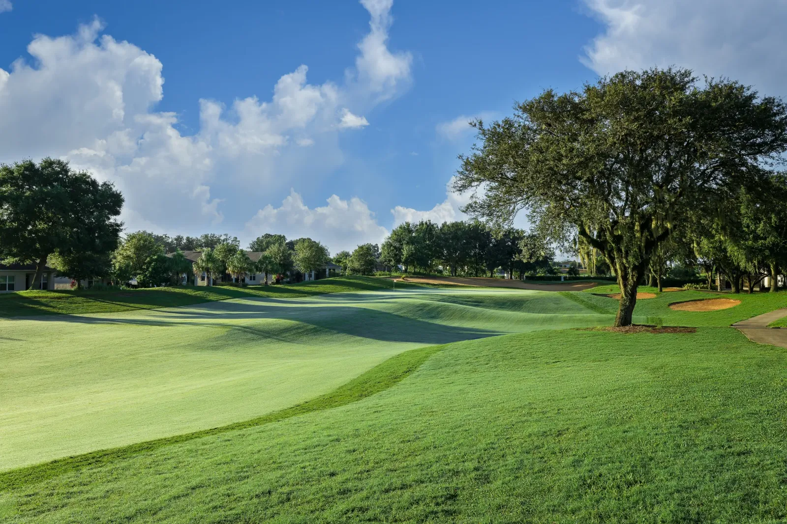 Golf Course Green
