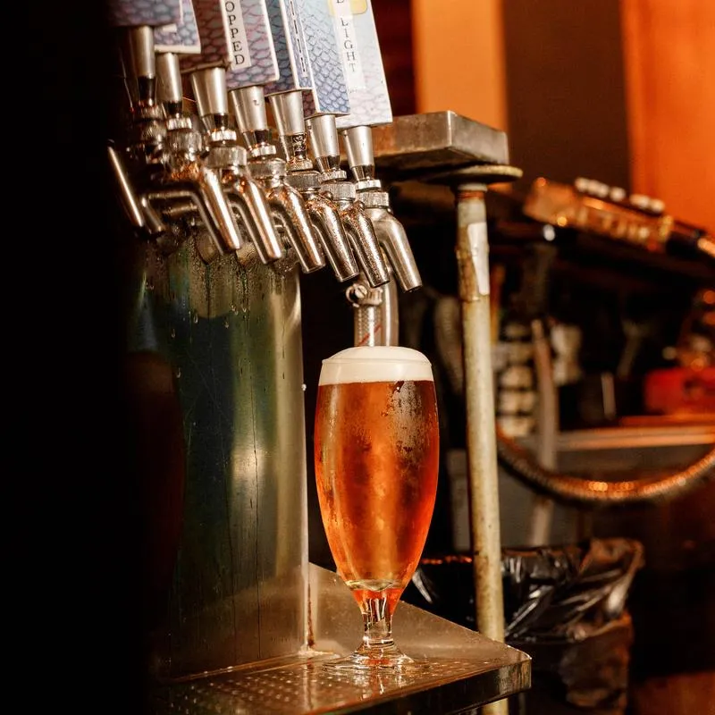 Glass of draft beer sitting on a metal tray under a row of tap handles.