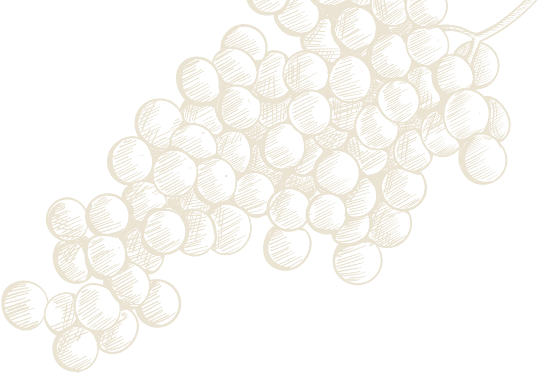 Illustration grapes angled